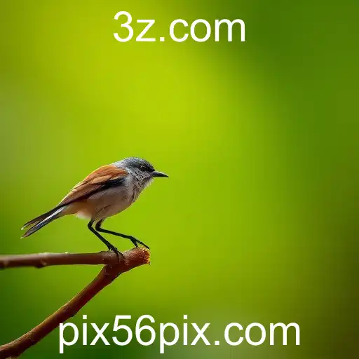 A Evolução da Fotografia Digital no Brasil